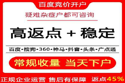SEM推广案例：打造高效广告投放策略